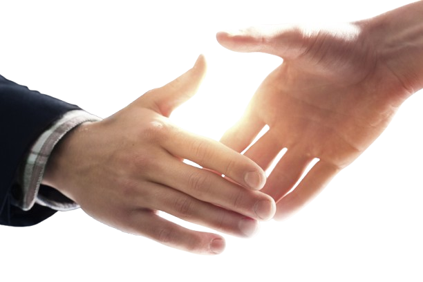 Co-commerce partner program image